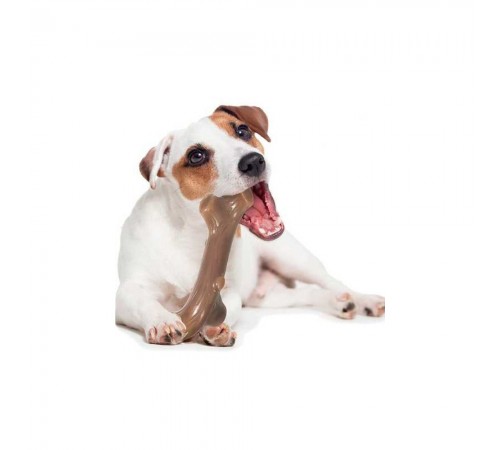 Іграшка для собак Petstages Liver Branch 14.5 см