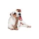 Іграшка для собак Petstages Liver Branch 14.5 см