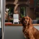 Інтерактивна камера-годівниця Petcube Bites 2 lite для домашніх улюбленців