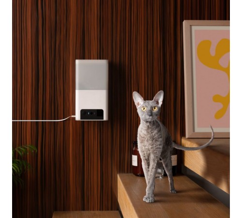 Інтерактивна камера-годівниця Petcube Bites 2 lite для домашніх улюбленців
