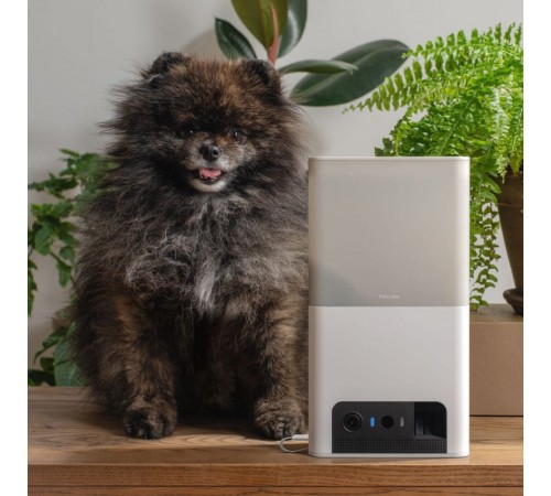 Інтерактивна камера-годівниця Petcube Bites 2 lite для домашніх улюбленців