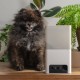 Інтерактивна камера-годівниця Petcube Bites 2 lite для домашніх улюбленців