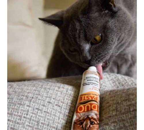 Ласощі для котів GimCat Duo Paste Anti-hairboll 50 г - сир та мальт