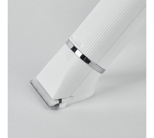 Машинка для стрижки тварин Petkit 2 in 1 Pet Trimmer Pro