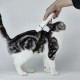 Машинка для стрижки тварин Petkit 2 in 1 Pet Trimmer Pro