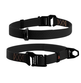 Collar EVOLUTOR S-XL - Нашийник Еволютор для собак середніх, великих і дуже великих порід, чорний 25-70 см/25мм