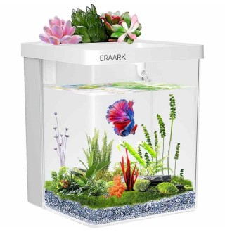 Розумний акваріум Petkit-mini EraArk прямий 16,4 x 21,3 x 16,4 см (5 л)