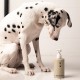 Шампунь для собак Sister's Aroma Smart Pet 250 мл