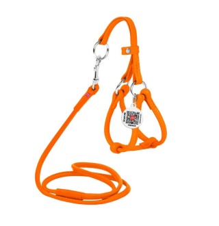 Шлея з повідцем для cобак COLLAR WOUDOG Натуральна Шкіра XXS - помаранчева