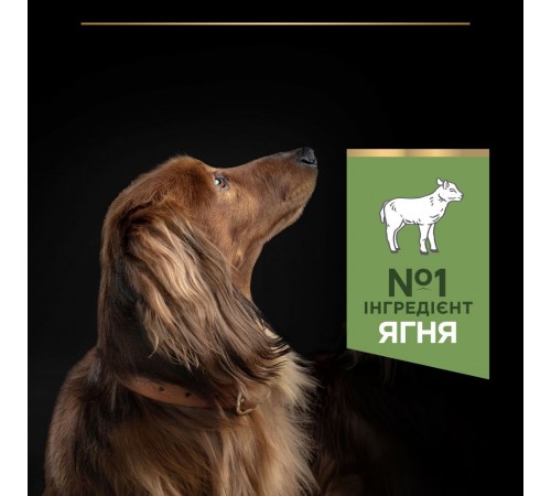 Purina Pro Plan Small and Mini Sensitive Digestion - сухий корм з ягням для собак дрібних порід з чутливим травленням, 7кг
