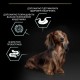 Purina Pro Plan Small and Mini Sensitive Digestion - сухий корм з ягням для собак дрібних порід з чутливим травленням, 7кг