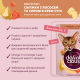 Суп для котів Delickcious 85 г - лосось та сир