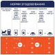 Вологий корм для котів Club 4 Paws Premium 100 г (лосось)