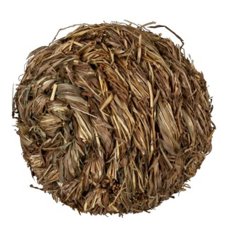 Іграшка для гризунів Trixie М'яч з брязкальцем d=10 см