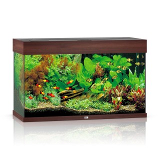 Акваріумний набір Juwel «Rio 125 LED» темно-коричневий, прямий (125 л)