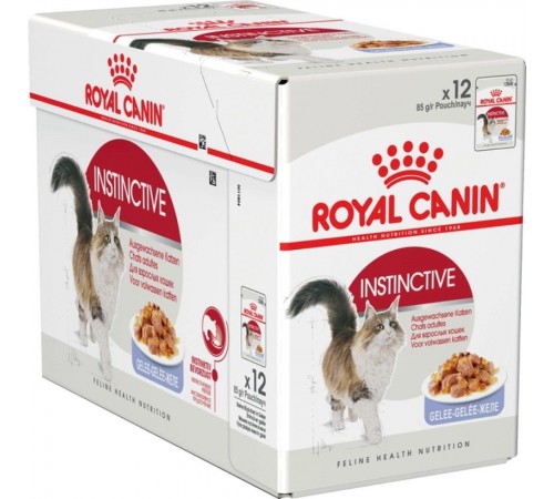 Набір сухого і вологого корму для котів Royal Canin Exigent Savour 2 кг + 12 шт х 85 г pouch + лабіринт у подарунок