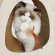 Дряпка картонна Catit для котів Pixi з іграшкою широка 45 x 23,5 x 44 см