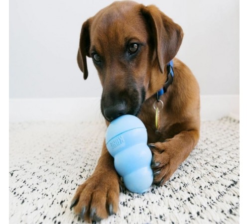 Іграшка для цуценят груша-годівниця Kong Puppy 7,6 см M