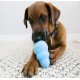 Іграшка для цуценят груша-годівниця Kong Puppy 7,6 см M
