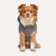 Костюм для собак Goo-eez Hooded Full Body 2XS