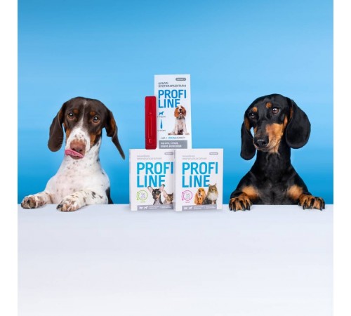 Нашийник для котів PROVET Profiline 35 см - зелений