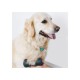 Щітка для собак Pet Teezer De-shedding and Grooming - фіолетово-сірий