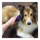 Щітка для собак Pet Teezer De-shedding and Grooming - фіолетово-сірий