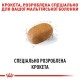 Сухий корм для собак Royal Canin Maltese Adult 500 г