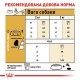 Сухий корм для собак Royal Canin Maltese Adult 500 г