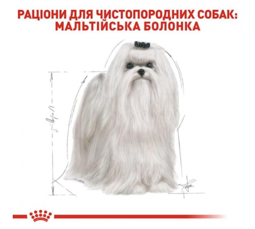 Сухий корм для собак Royal Canin Maltese Adult 500 г