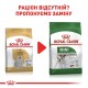Сухий корм для собак Royal Canin Maltese Adult 500 г