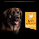 Сухий корм для собак Purina Pro Plan Large Robust Adult 14кг - домашня птиця