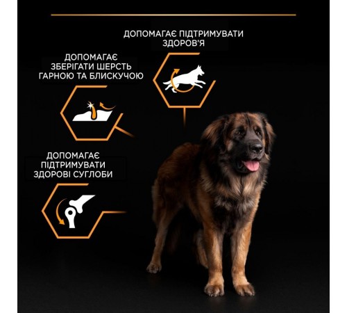 Сухий корм для собак Purina Pro Plan Large Robust Adult 14кг - домашня птиця