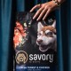 Сухий корм для цуценят Savory Junior Large 3 кг - індичка та курка