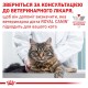 Сухий корм для котів Royal Canin Anallergenic 2 кг