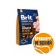 Сухий корм для собак Brit Premium Dog Senior S+M 3 кг - курка