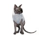 Светр для кота Pet Fashion меланж «CAT» L