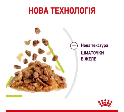 Вологий корм для котів Royal Canin Sensory Smell Jelly pouch 85 г