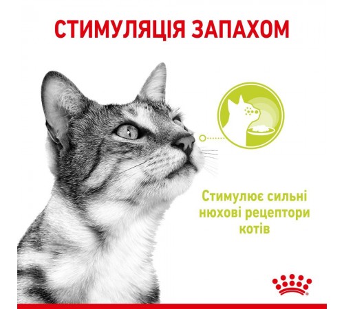 Вологий корм для котів Royal Canin Sensory Smell Jelly pouch 85 г