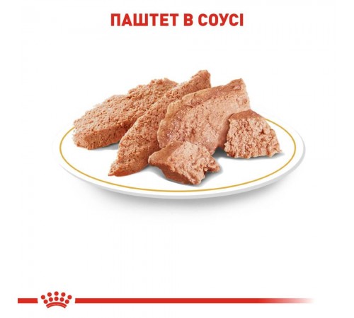 Вологий корм для собак Royal Canin Chihuahua Adult pouch 85 г