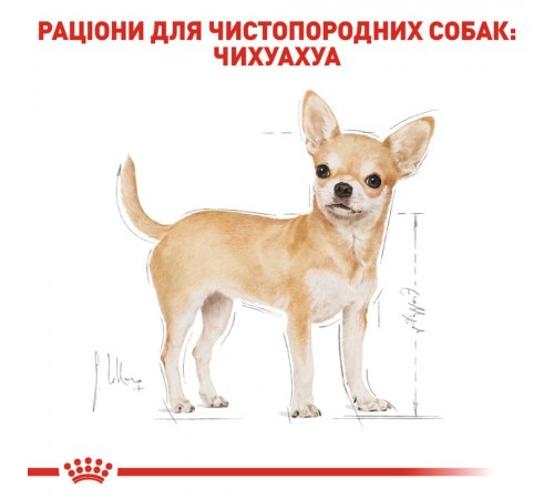 Вологий корм для собак Royal Canin Chihuahua Adult pouch 85 г