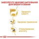 Вологий корм для собак Royal Canin Chihuahua Adult pouch 85 г