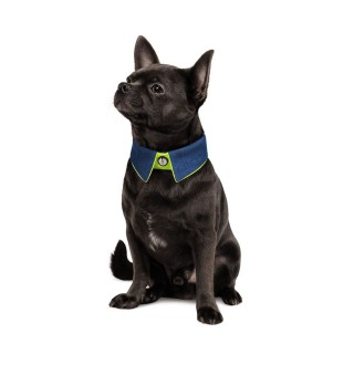 Комір для собак Pet Fashion «BRIGHT» XS-XS2