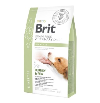 Сухий корм для собак, при цукровому діабеті Brit GF Veterinary Diet Dog Diabetes 2 кг (індичка)