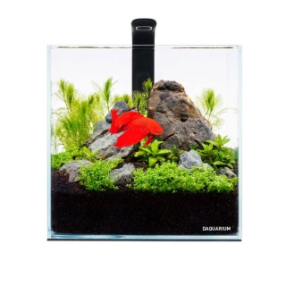 Акваріумний набір Collar Pico Set 5 л