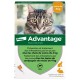 Advantage by Elanco-Bayer - протипаразитарні краплі від бліх для котів і кролів до 4кг