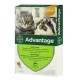 Advantage by Elanco-Bayer - протипаразитарні краплі від бліх для котів і кролів до 4кг