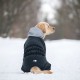 Комбінезон для собак Collar AiryVest ONE XS-25