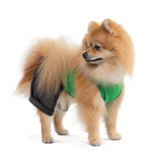 Костюм для собак Pet Fashion «Aleks» XS