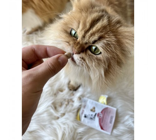 Ласощі для котів GimCat Every Day Malt Tabs 40 г - асорті